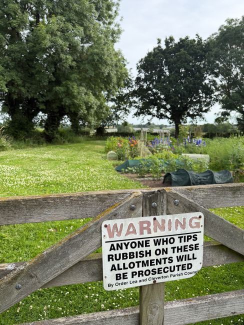 A lush green outdoor garden scene with a variety of blooming flowers, including purple, orange, and yellow blossoms, arranged in raised beds and plant containers. The garden is surrounded by tall, lea
