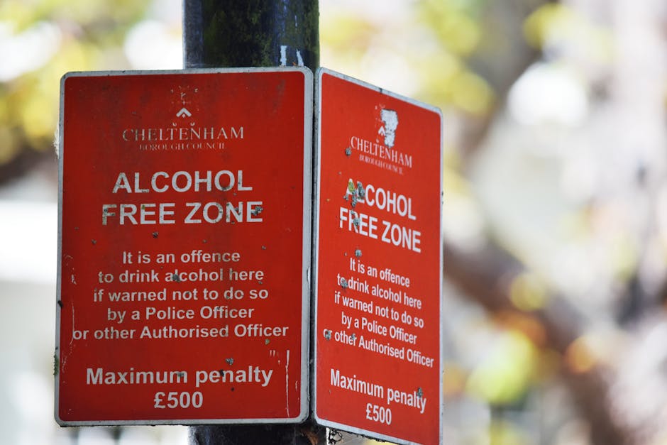 A bright red, rectangular sign mounted outdoors on a black pole, displaying the message 'ALCOHOL FREE ZONE' in bold white letters, with smaller white text below warning that drinking alcohol here is a