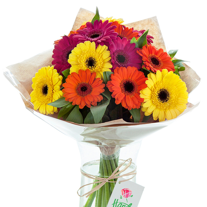 Capturing the essence of cheerful celebration, this vibrant bouquet of multi-coloured Gerbera daisies sits proudly in a classic glass vase, embodying the freshness and energy that defines Stanmore's friendly streets. Each daisy, from luminous yellow to bold orange and deep magenta, is meticulously arranged to showcase both classic beauty and modern flair. The petals radiate outward from velvety, obsidian centers, creating a layered effect enhanced by deep green leaves tucked artfully throughout the bouquet. The upper half is wrapped in textured kraft paper, lending an earthy accent that recalls the artisanal touch of Stanmore's local florists. A glossy cellophane layer protects the arrangement while accentuating the colours with subtle reflections. The stems stand tall and visible, immersed in clear water inside the vase, symbolising the freshness that is a hallmark of every delivery from the heart of Stanmore. Tied neatly around the stems, a length of coarse brown twine supports a simple white gift tag, delicately illustrated with a red rose and a hint of hand-lettered text. Whether intended for a birthday surprise along Honeypot Lane or a heartfelt "thinking of you" for a neighbour near Canons Park, this composition radiates warmth, joy, and the assurance of local expertise. The nuanced interplay of textures, tones, and artistic detail creates a timeless representation of giving, perfect for any moment worth celebrating in Stanmore.